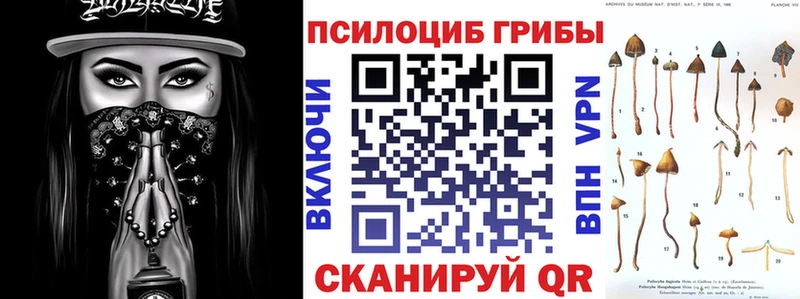 hydra онион  Тольятти  Галлюциногенные грибы Psilocybine cubensis 